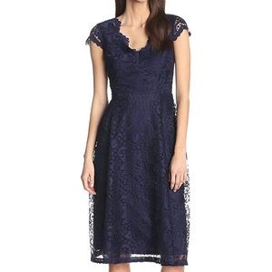 Navy Blue Scallop short Sleeve Lace Dress 16w